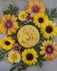 Knitter's Lotion Bar: Summer Day